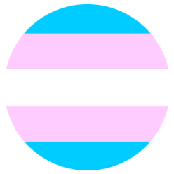 Transgender Pride