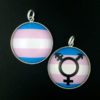 Transgender Pride - Image 2