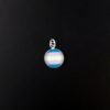 Transgender Pride - Image 13